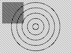 bayer8